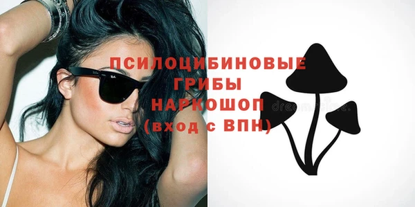 бошки Алзамай