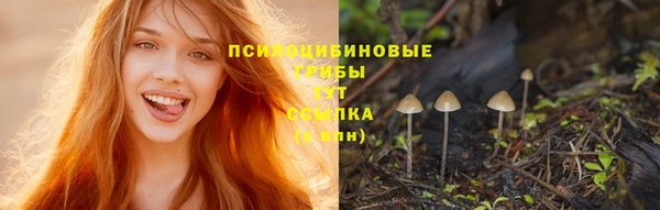 бошки Алзамай