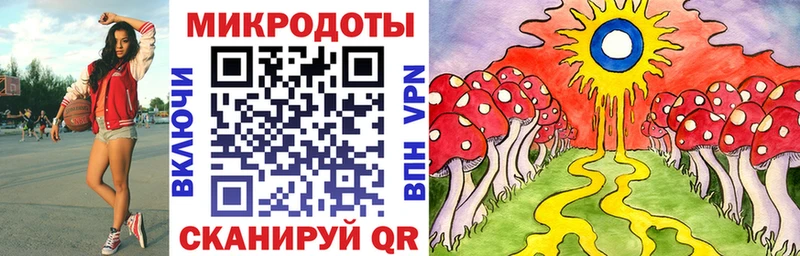 Псилоцибиновые грибы мицелий  hydra сайт  Гаджиево 
